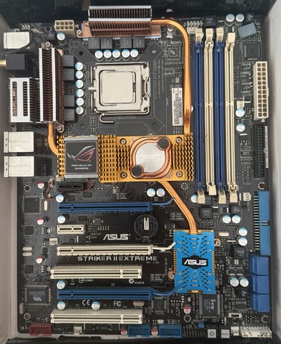 Scheda madre asus striker - asus,
